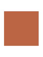 Protetor solar facial com cor sallve toque seco fps60