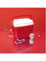 Caixa térmica 18 litros 24 latas cores mor