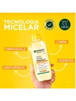 Garnier skin vitamina c kit - hidratante facial antimanchas + Água micelar