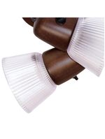 Spot Muller Country 2 Lâmpadas Com Tulipa Envelhecido 012e