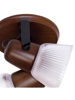 Spot Muller Country 2 Lâmpadas Com Tulipa Envelhecido 012e