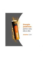 Pilha Alcalina Aa C-4 15v Vp2ab