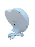 Luminária Coração Liberdade Usb