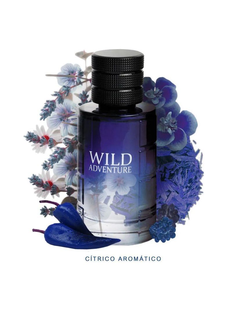 Perfume Wild Adventure Linn Young Eau De Toilette Masculino 100ml