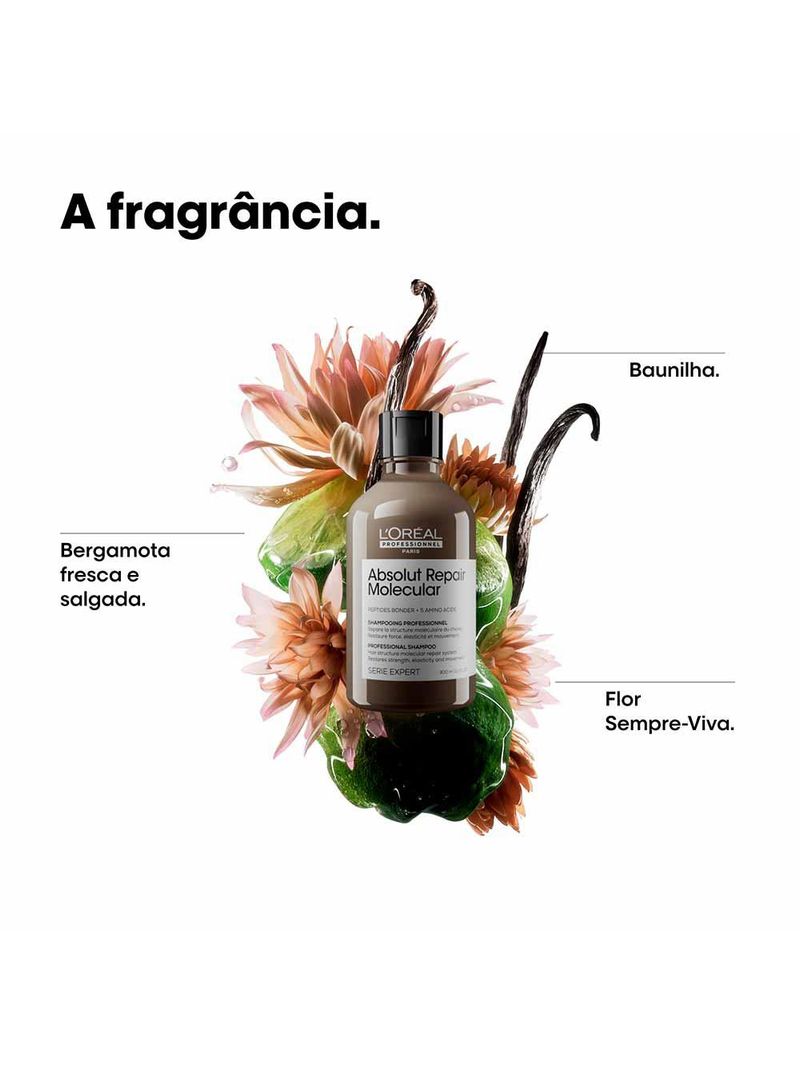 Absolut repair molecular kit – shampoo 300ml + máscara 75ml l’oreal professionnel