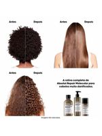 Absolut repair molecular kit – shampoo 300ml + máscara 75ml l’oreal professionnel