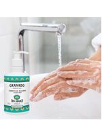 Sabonete Líquido Granado Chá Branco Mãos E Corpo Terrapeutics 300ml