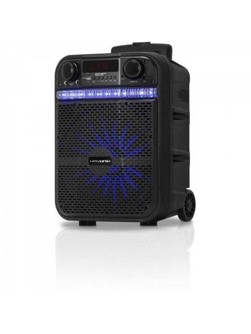 Caixa Portátil Hayonik Go Power10080w Bluetooth- Usb