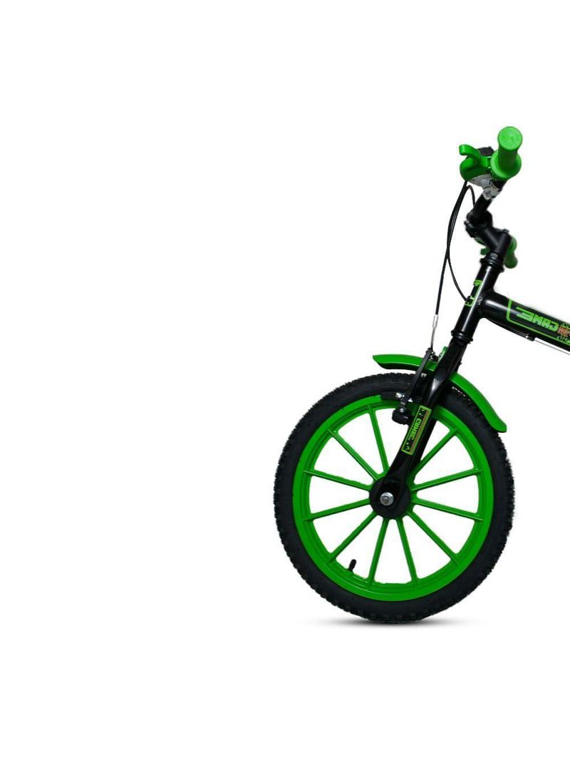 Bicicleta Bike Infantil Aro 16 Ravok com Rodinhas 3 a 7 Anos – Cor: Verde