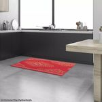 Tapete Passadeira Ps 38 Retangular 66x100CM Sisal Polipropileno Vermelho Liso Sólido