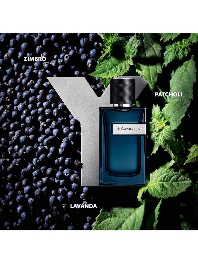 Y intense yves saint laurent - perfume masculino - eau de parfum