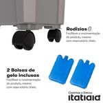 Climatizador de Ar Itatiaia 40L 220V CAITA2400A