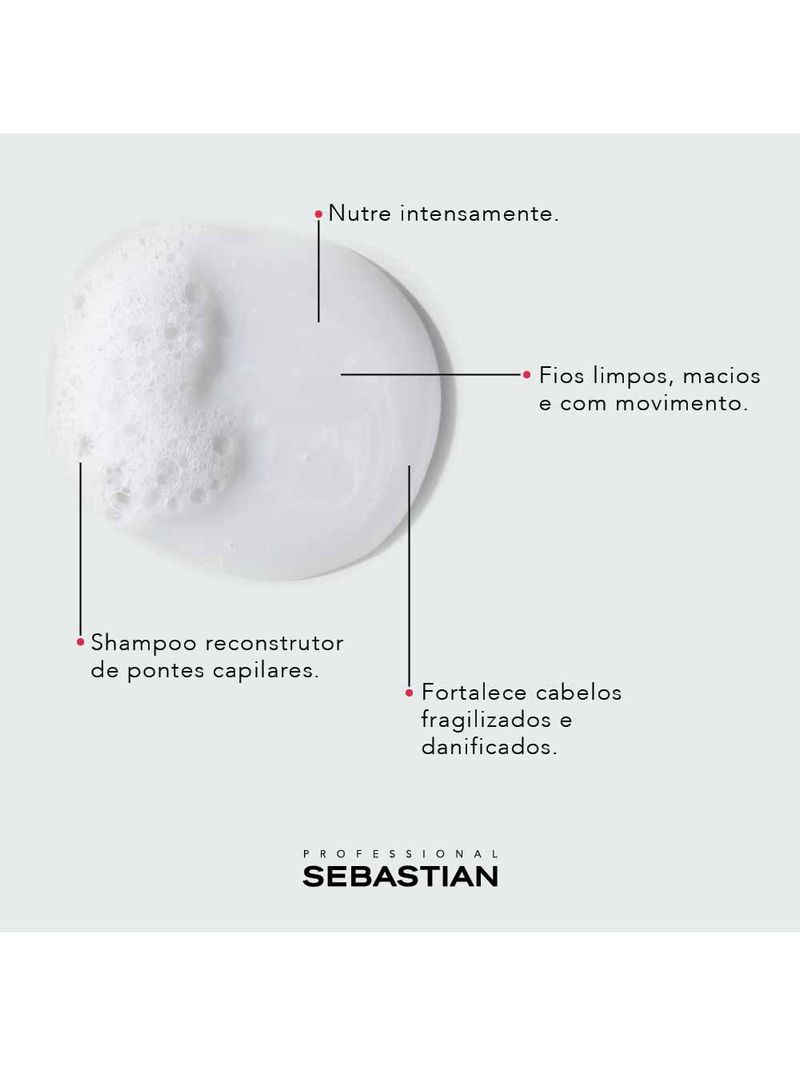 Sebastian professional shampoo no breaker