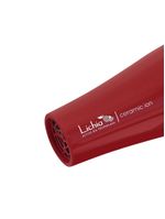 Kit prancha e secador de cabelo lichia  + brinde 220v