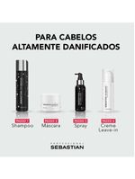 Sebastian professional shampoo no breaker