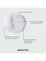 Sebastian professional shampoo no breaker