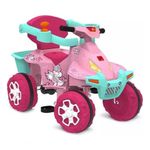 Smart Quadriciclo Passeio E Pedal Unicórnio Rosa Bandeirante Rosa