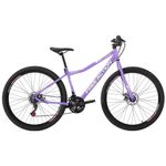 Bicicleta Riese 15 Mtb Aro 29 Quadro Aço 21 Marchas Freio a Disco Lilás Free Action