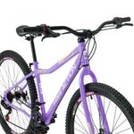 Bicicleta Riese 15 Mtb Aro 29 Quadro Aço 21 Marchas Freio a Disco Lilás Free Action