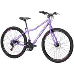 Bicicleta Riese 15 Mtb Aro 29 Quadro Aço 21 Marchas Freio a Disco Lilás Free Action