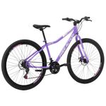 Bicicleta Riese 15 Mtb Aro 29 Quadro Aço 21 Marchas Freio a Disco Lilás Free Action