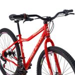 Bicicleta Riese 15 Mtb Aro 29 Quadro Aço 21 Marchas Freio a Disco Free Action Vermelho Coke