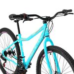 Bicicleta Riese 15 Mountain Bike Aro 29 Quadro Aço 21 Marchas Freio a Disco Free Action