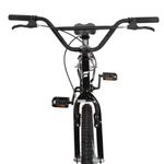 Bicicleta Bmx Sts Cross Aro 20 Quadro Aço 1 Velocidade Free Action