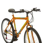 Bicicleta Eden Mountain Bike Aro 26 Quadro Aço 18 Marchas V-Brake Laranja Free Action