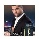 Animale For Man Edt | Perfume Masculino 200ml