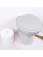 Assento Sanitario Poliester Azalea Cinza Prata Para Vaso Celite
