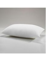 Travesseiro Infantil Altenburg Sono E Saúde Junior 45cm X 65cm Branco