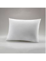 Travesseiro Infantil Altenburg Sono E Saúde Junior 45cm X 65cm Branco
