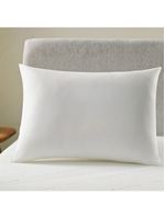Travesseiro Altenburg Suporte Extra Firme 50cm X 70cm