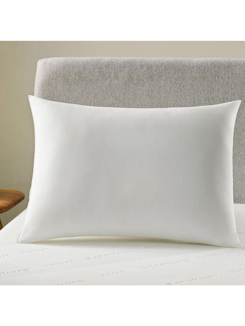 Travesseiro Altenburg Suporte Extra Firme 50cm X 70cm
