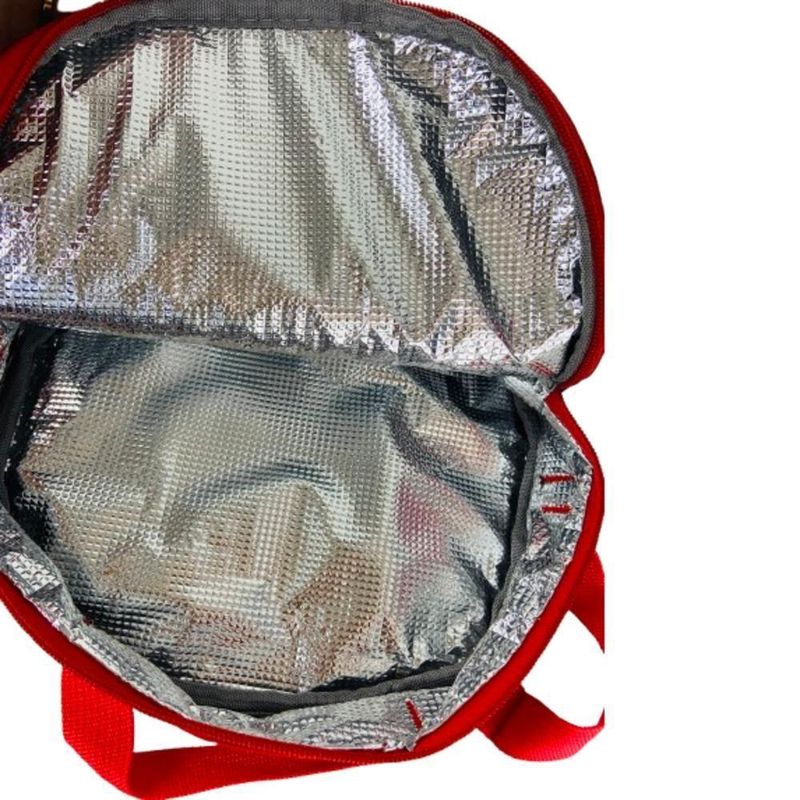 Conjunto Mochila Rodinha Lancheira Estojo Dinossauro Escolar