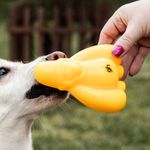 Dogorila: Brinquedo Gorila Para Cães Com Porta Petiscos Porte Médio