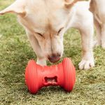 Roller Snax: Brinquedo Interativo Com Recompensas E Estímulo Mental Para Cães