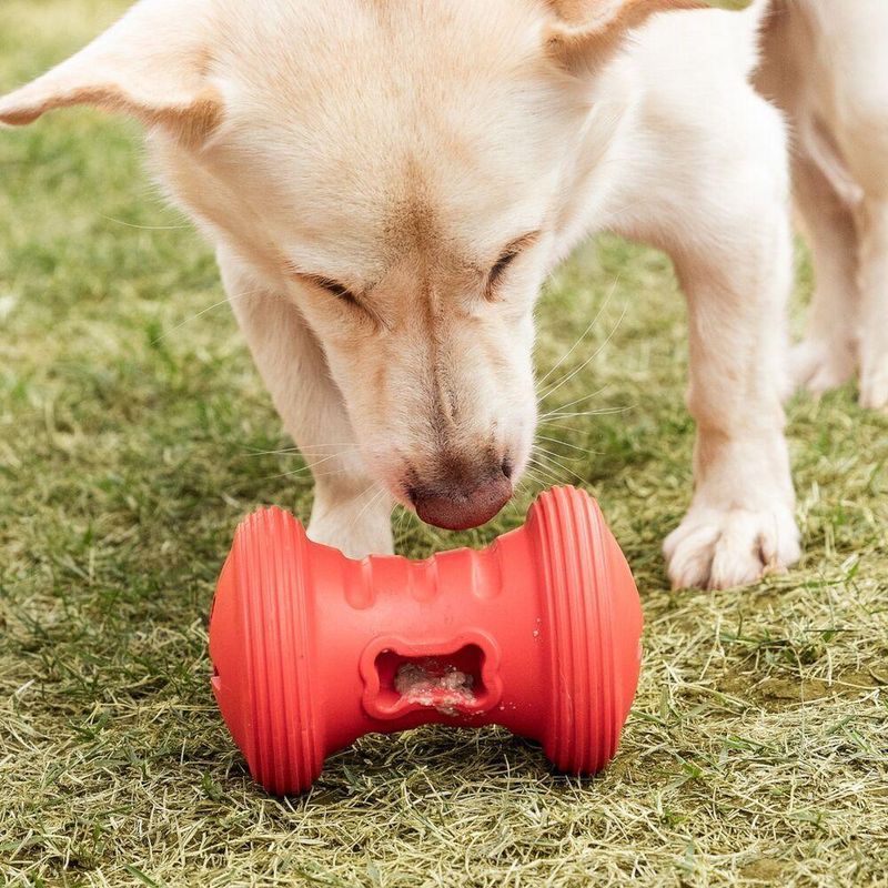Roller Snax: Brinquedo Interativo Com Recompensas E Estímulo Mental Para Cães