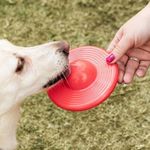 Focão: Brinquedo Com Apito E Compartimento Para Petiscos, Flutuante E Estimulante