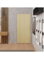 Porta Sanfonada De Pvc 125x210cm Bariri - Tk