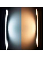 Ring Light 8 Polegadas Com Suporte Led Luz Foto Vídeo