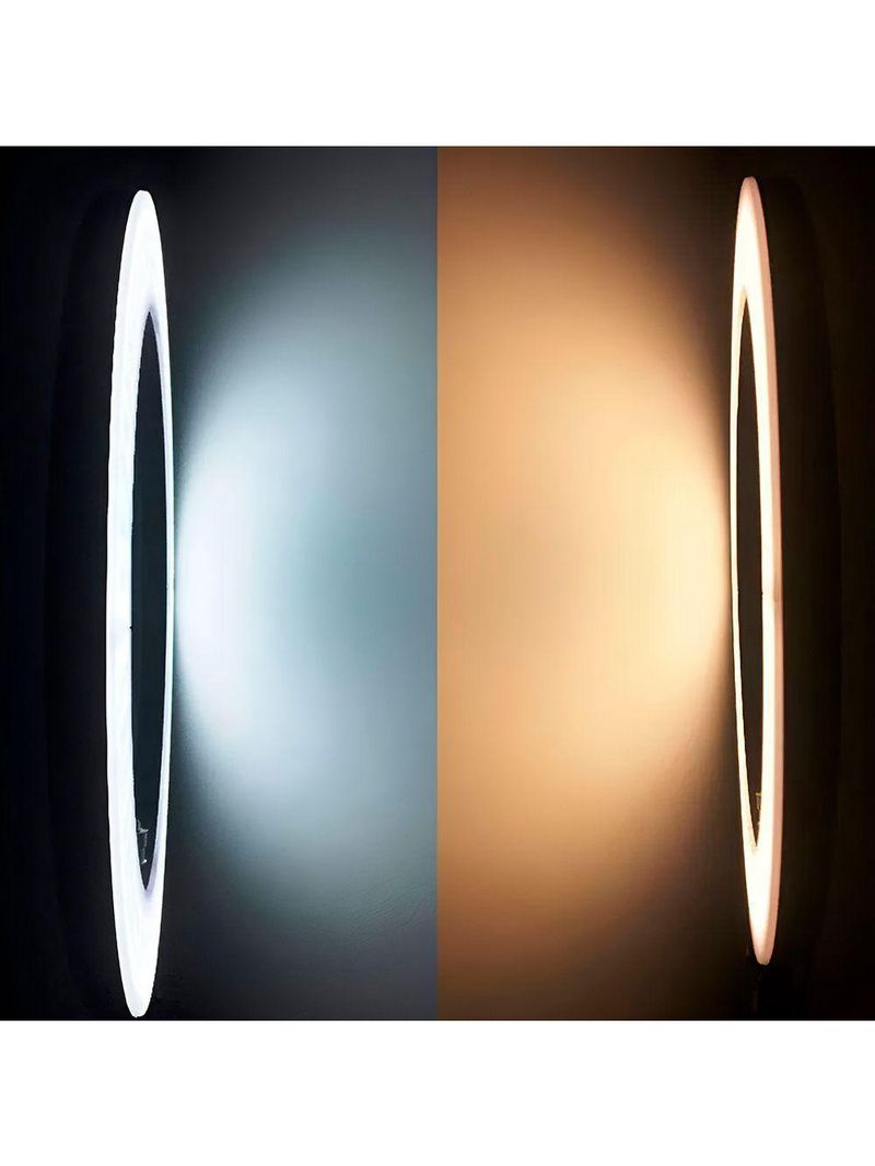 Ring Light 8 Polegadas Com Suporte Led Luz Foto Vídeo