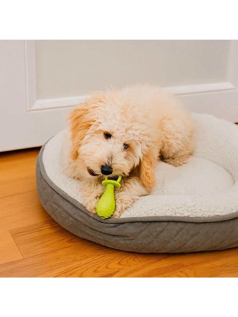 Brinquedo Mordedor Formato Chupeta Para Pets Com Guizo - Diversão E Estímulo Para Cães E Gatos verde
