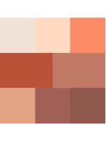 Paleta de sombras catrice – the hot mocca