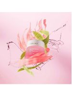Creme hidratante facial 2 em 1 estée lauder - nutritious melting soft