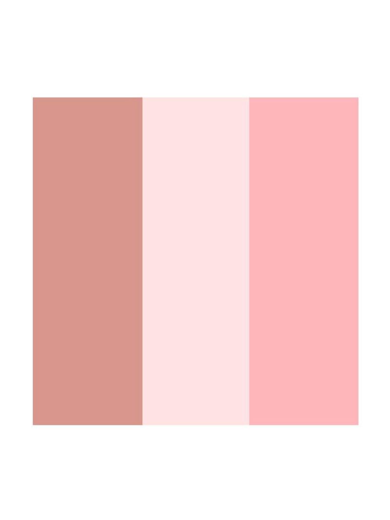 Paleta de contorno & iluminador & blush dailus pele de milhões 2
