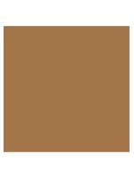 Darrow actine colors kit com 2 unidades – protetor solar facial com cor fps70 – pele morena mais 40g