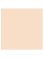 Pó solto shiseido synchro skin invisible silk loose powder matte