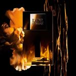 Perfume homme dior masculino parfum